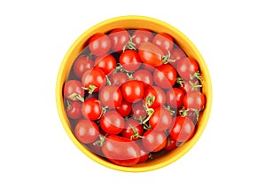 Tomato Solanum lycopersicum var. cerasiforme