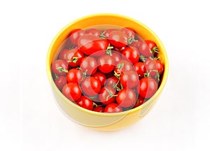 Tomato Solanum lycopersicum var. cerasiforme