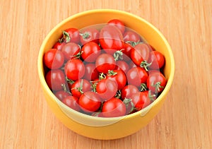 Tomato Solanum lycopersicum var. cerasiforme