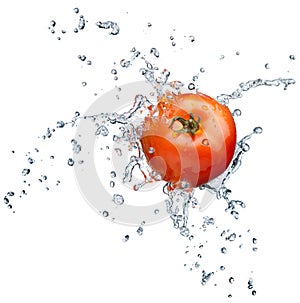 Tomato splashing in water