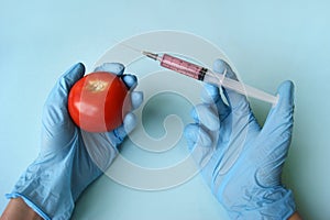 Tomato and syringe with GMO in hands on a blue background.