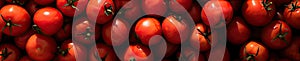 Tomato texture. Red food pattern background. Group of horizontal vegetable