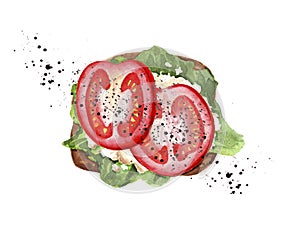 Tomato toast with white cheese, lettuce and black pepper