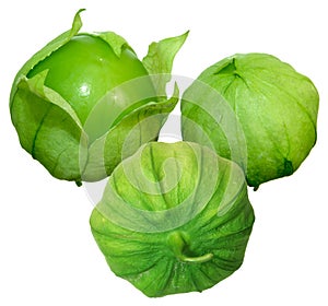 Tomato Tomatillos