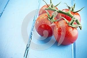Paradajka paradajky 