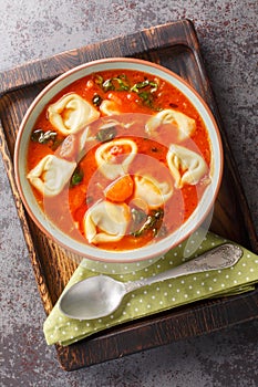 Tomato tortellini soup with vegetables and spinach close-up in a plate. Vertical top view