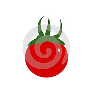 Tomato vector design template illustration