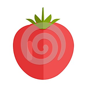 Tomato Vector Illustration in Flat Style Design. red