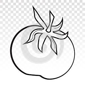 Tomato vector line art icon on a transparent background