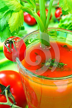 Tomato vegetable cocktail