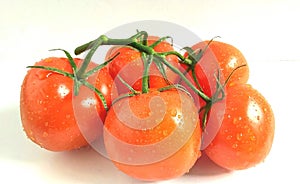 Tomato vegetable food foodanddrink  reden