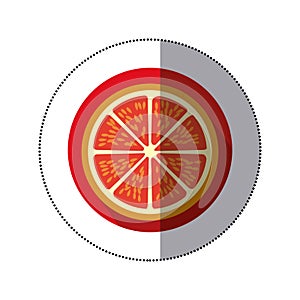 tomato vegetable icon image