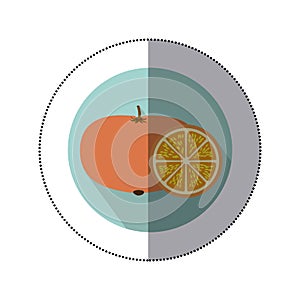 tomato vegetable icon image