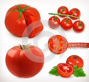 Tomato. Vegetable vector icon set