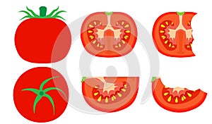 Tomato vegetarian natural isolated harvest vector. Summer food nature red vegetable cooking. Tasty illustration vegan fresh organi