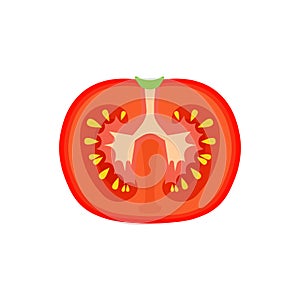 Tomato vegetarian natural isolated harvest vector. Summer food nature red vegetable cooking. Tasty illustration vegan fresh organi