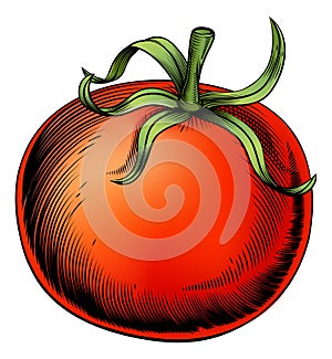 Tomato vintage woodcut illustration photo