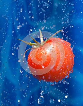 Tomato in a water droplets