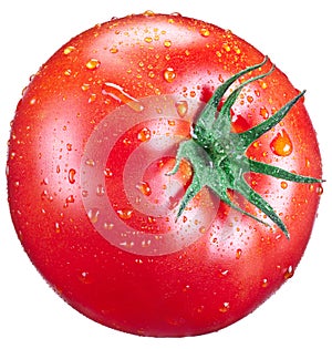 Tomato with water drops.