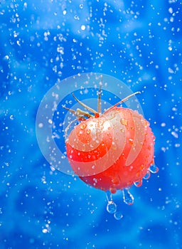 Tomato in a water splash drops