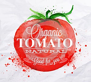 Tomato watercolor poster