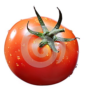 Tomato with waterdrop