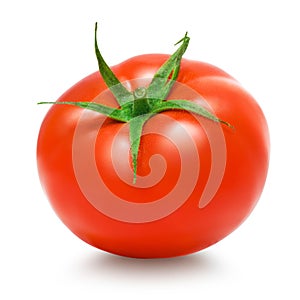 Tomato on white background