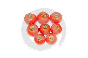 Tomato in a white background