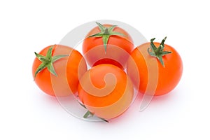Tomato on the white isolatd background