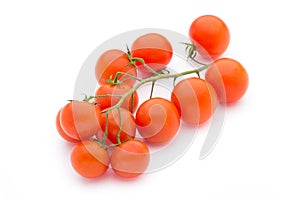 Tomato on the white isolatd background.