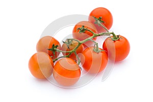 Tomato on the white isolatd background.