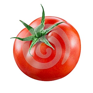 Tomato on white. Tomato isolated.