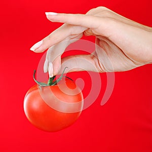 Tomato in woman hand