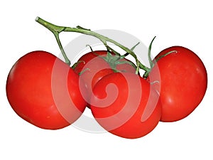 Tomatoe