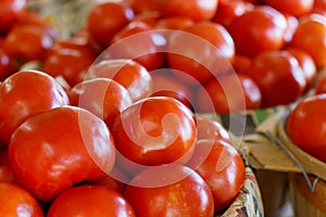 Tomatoes