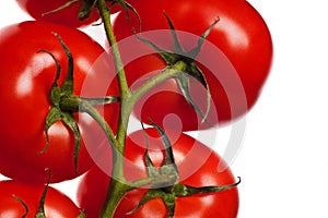 Tomatoes