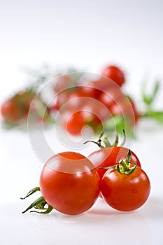 Tomatoes