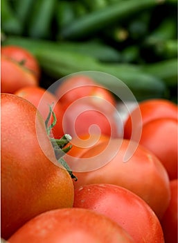 Tomatoes