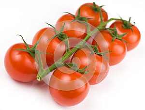 Tomatoes