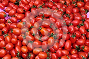 Tomatoes