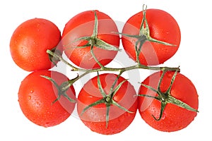 Tomatoes