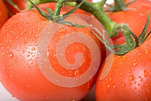 Tomatoes