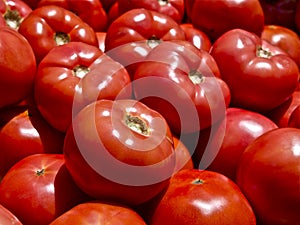 Tomatoes