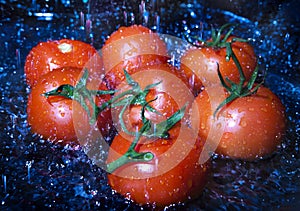 Tomatoes