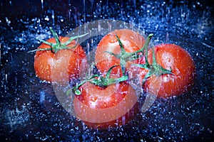 Tomatoes