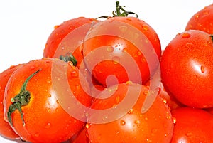 Tomatoes. photo