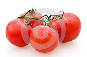 Tomatoes