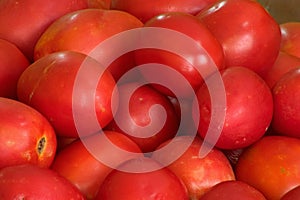 Tomaten 