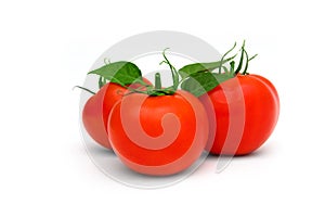 Tomatoes