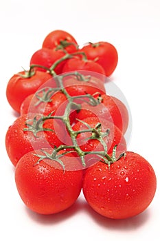 Vine tomato tomatoes red